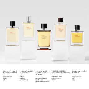 TERRE D'HERMÈS PARFUM | 75ml