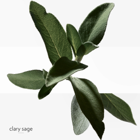 H24 REFRESHING DEODORANT SPRAY | 150ml