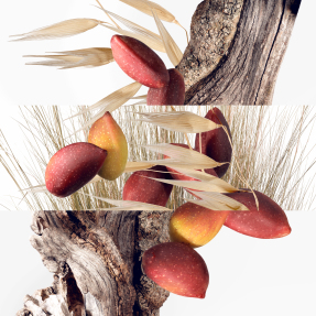 UN JARDIN À CYTHÈRE EAU DE TOILETTE | 30ml