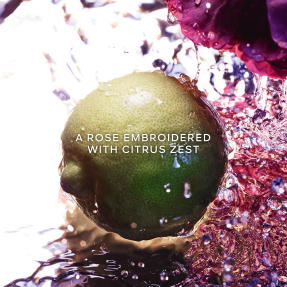 LA PETITE ROBE NOIRE EAU DE TOILETTE | 50ml