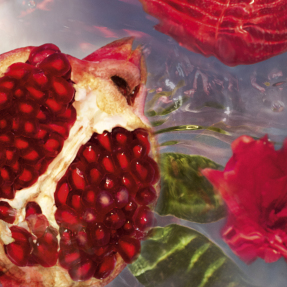 AQUA ALLEGORIA GRANADA SALVIA  EAU DE TOILETTE | 75ml