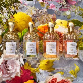 AQUA ALLEGORIA NETTARE DI SOLE EAU DE TOILETTE REFILL | 200ml