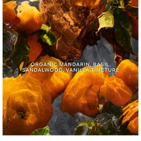 AQUA ALLEGORIA FORTE MANDARINE BASILIC EAU DE PARFUM REFILL