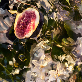 AQUA ALLEGORIA FORTE NEROLIA VETIVER EAU DE PARFUM REFILL | 200ml