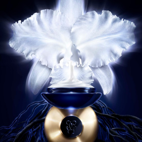 ORCHIDÉE IMPÉRIALE THE LIGHT CREAM | 50ml