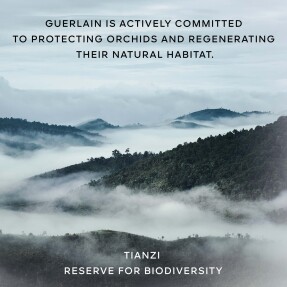 ORCHIDÉE IMPÉRIALE THE FOAM IN CREAM 150ml