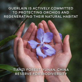 ORCHIDÉE IMPÉRIALE  THE LONGEVITY RICH CREAM - THE REFILL | 50ml