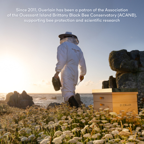 ABEILLE ROYALE BEE LAB SHOT