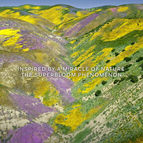 AQUA ALLEGORIA FLORABLOOM FORTE EAU DE PARFUM | 40ml