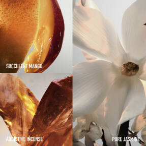 FAME FELINE EAU DE PARFUM | 80ml