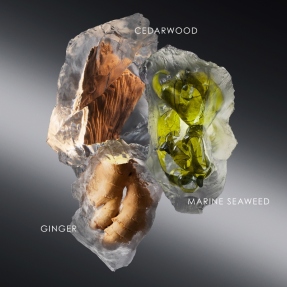 LE SEL D'ISSEY EAU DE TOILETTE | 50ml