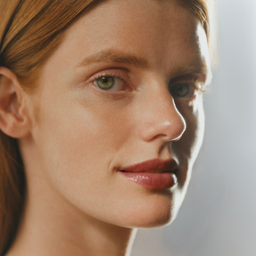 PHYTO-ROUGE SHINE | 3gr 14 Sheer Acajou