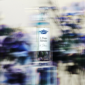 L'EAU RÊVÉE D'IKAR | 50ml