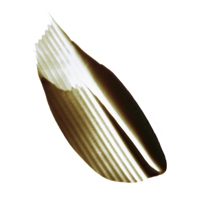 CHROMA ABSOLU ΜΑΣΚΑ ΜΕ XΡΩΣΤΙΚΕΣ ΚΑΤΑ ΤΩΝ AΝΕΠΙΘΥΜΗΤΩΝ ΤΟΝΩΝ | 150ml