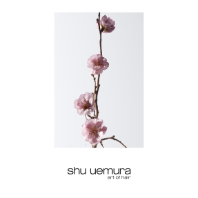 DELICATE COMFORT ΣΑΜΠΟΥΑΝ ΓΙΑ ΞΗΡΑ ΜΑΛΛΙΑ​ | 400ml