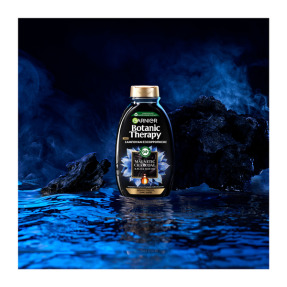 BOTANIC THERAPY ΣΑΜΠΟΥΑΝ MAGNETIC CHARCOAL | 400ml