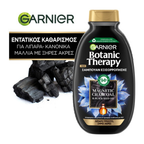 BOTANIC THERAPY ΣΑΜΠΟΥΑΝ MAGNETIC CHARCOAL | 400ml