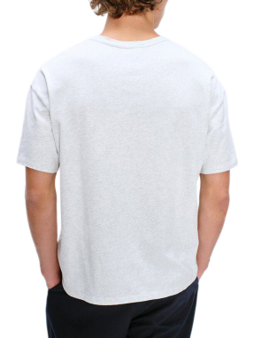 ΑΝΔΡΙΚΟ T-SHIRT | Γκρι Ανοιχτό ARCTIQUE CHINE XL