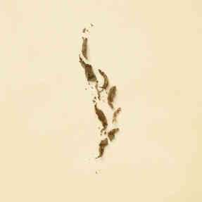 THE ALCHEMIST'S GARDEN THE LAST DAY OF SUMMER EAU DE PARFUM