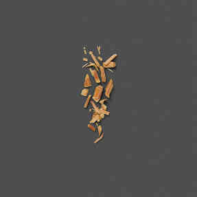 THE ALCHEMIST'S GARDEN THE VOICE OF THE SNAKE EAU DE PARFUM