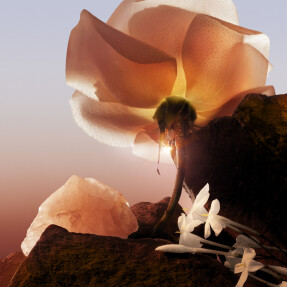 IDOLE NOW EAU DE PARFUM | 25ml