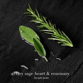 ARMANI ACQUA DI GIO PARFUM ΑΝΔΡΙΚΟ ΑΡΩΜΑ | 30ml