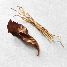 ARMANI ACQUA DI GIO EAU DE PARFUM ΑΝΔΡΙΚΟ ΑΡΩΜΑ | 30ml