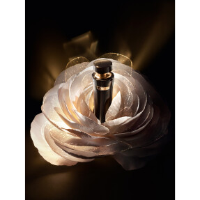 ABSOLUE L'EXTRAIT THE ELIXIR LOTION | 150ml