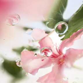 ÔVER THE TOP EAU DE TOILETTE | 100ml