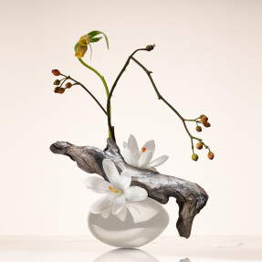 ARMANI PRIVÉ OUD NACRÉ EAU DE PARFUM | 50ml