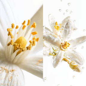 ARTISANAL BLAZE OF STILLNESS EAU DE PARFUM | 30ml