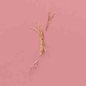 THE ALCHEMIST'S GARDEN A GLOAMING NIGHT EAU DE PARFUM