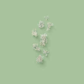 THE ALCHEMIST'S GARDEN 1921 EAU DE PARFUM