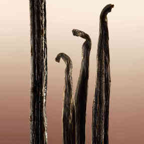 BURBERRY GODDESS EAU DE PARFUM | 100ml