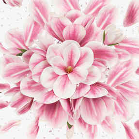 FLORA GORGEOUS MAGNOLIA EAU DE PARFUM REFILLABLE | 30ml