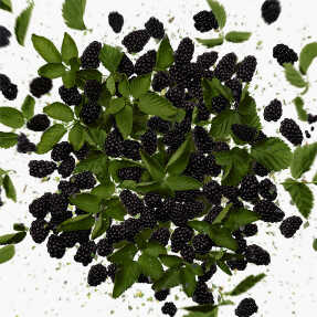 FLORA GORGEOUS MAGNOLIA EAU DE PARFUM REFILLABLE | 30ml