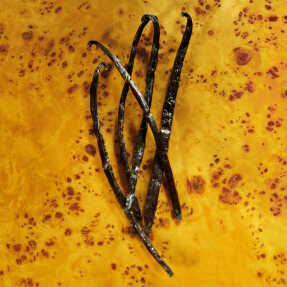 GUCCI GUILTY POUR FEMME ELIXIR DE PARFUM | 60ml