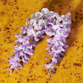 GUCCI GUILTY POUR FEMME ELIXIR DE PARFUM | 60ml