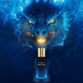 COOL ELIXIR FOR MEN | 30ml