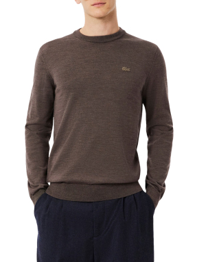 ΑΝΔΡΙΚΟ ΠΟΥΛΟΒΕΡ ΜΕ ΛΟΓΟΤΥΠΟ | Καφέ XXL