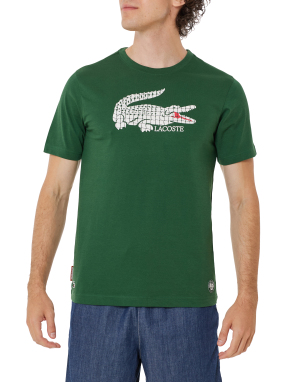 ΑΝΔΡΙΚΟ T-SHIRT | Πράσινο XXL