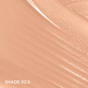 SKIN ILLUSION TINTED MOISTURIZER SPF25 | 02,5