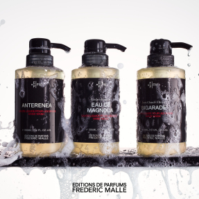 ANTERENEA HAND WASH | 300ml