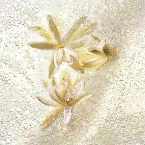 GOOD GIRL GONE BAD, BY KILIAN HAND AND BODY WASH REFILL | 250ml