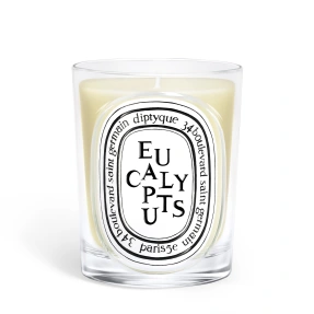 EUCALYPTUS SCENTED CANDLE | 190gr