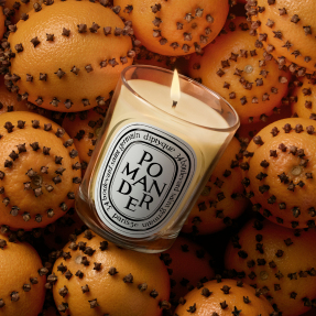 POMANDER SCENTED CANDLE | 190gr