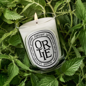 ORTIE SCENTED CANDLE | 190gr