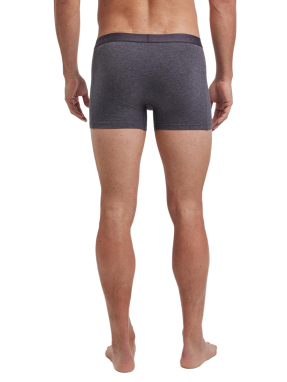 ΑΝΔΡΙΚΑ ΕΣΩΡΟΥΧΑ BOXER ΣΕΤ 2ΤΜΧ | Γκρι XL