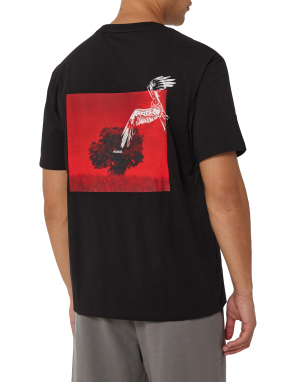 ΑΝΔΡΙΚΟ T-SHIRT | Μαύρο 001 XXL