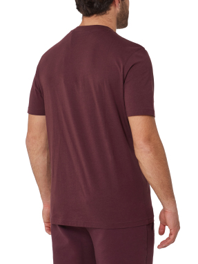 ΑΝΔΡΙΚΟ T-SHIRT | Μπορντό S